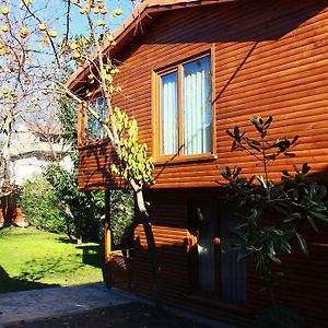 Bungalov
